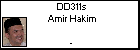 DD311s Amir Hakim