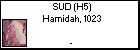 SUD (H5) Hamidah, 1023