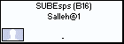 SUBEsps (B16) Salleh@1