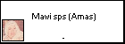 SUBsps Mawi sps (Amas)
