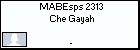 MABEsps 2313 Che Gayah