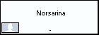  Norsarina