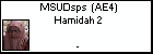 MSUDsps  (AE4) Hamidah 2